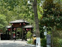 -合肥滨湖国家森林公园