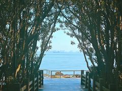 -上海吴淞炮台湾国家湿地公园