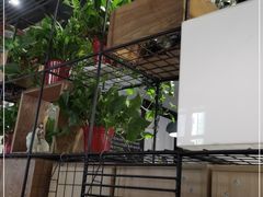 -ZM COFFEE(西安路店)