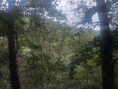 -青龙山国家森林公园