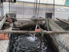 -北京龙庆四季香农家饭庄·灶台鱼·碳烤虹鳟鱼(龙庆峡店)