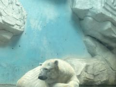 -泉城欧乐堡海洋极地世界