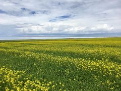 -青海湖国家重点风景名胜区