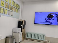 -北京观赏动物医院·24小时大型综合·猫专科·异宠专科