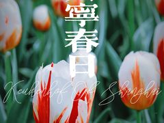 -大宁公园