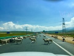 -青海湖国家重点风景名胜区