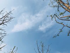 -曹丞相·地锅鸡·地锅鱼(武林店)