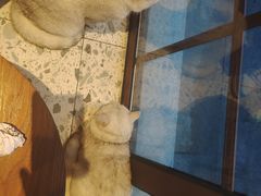 -星巴克(宁波老外滩店)