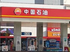 -中国石油(康福站)