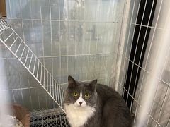 -乐果甜心·潮汕冰室(南澳后宅分店)