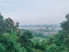 -八卦田遗址公园