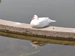 -丰台花园