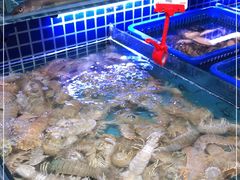 水产区-必点海鲜·鲅鱼水饺(鞍山西道店)
