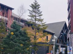 -中旅松花湖滑雪场