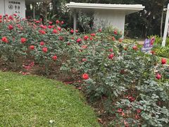 -人民公园(罗湖区)