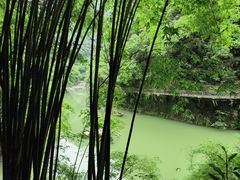 -鱼豆吉·豆浆鱼火锅(宜昌万达店)