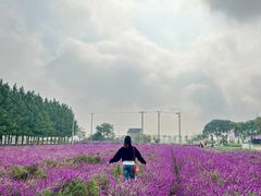 -嘉北郊野公园
