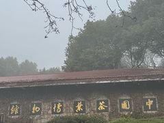 -中国茶叶博物馆(双峰馆区)
