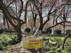 -上海海湾国家森林公园