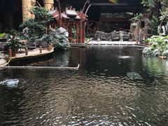 -顺景温泉