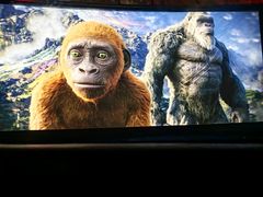 -枫花园汽车电影院(朝阳公园店)