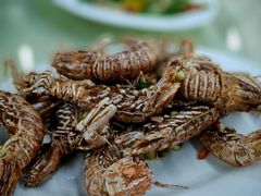 -惠来大排档(联创商业街店)