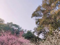 -团城山公园