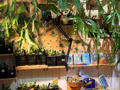 -Rabbit Cafe私房西餐甜点咖啡(栖霞路店)