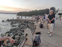 -宝安西湾红树林湿地公园