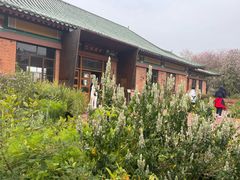 -华农酸奶文化馆