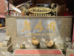 -马六甲鸡场街