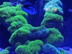 -海合安武汉极地海洋公园