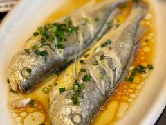 臭黄鱼-富临轩私房菜(集庆门大街店)