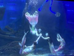 -江和美海洋公园
