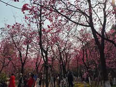 -昆明动物园