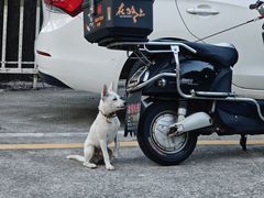 -福建师范大学(仓山校区)