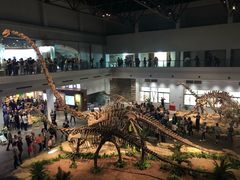 -自贡恐龙博物馆