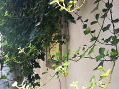 -猫的天空之城概念书店(杭州南宋御街店)