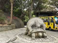 -海南分界洲岛旅游区