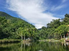 -西双版纳原始森林公园