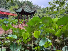 -房湖公园