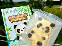 -沈阳森林动物园