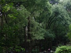 -忠山公园