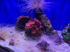 -上海海洋水族馆