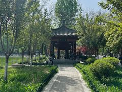 -莲湖公园