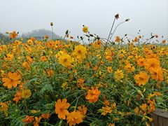 -顺峰山公园
