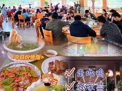 -兴隆槟榔园休闲农庄