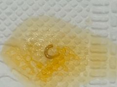 -东泰祥生煎馆(陕西南路店)