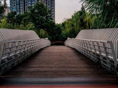 -南翔镇银翔湖公园