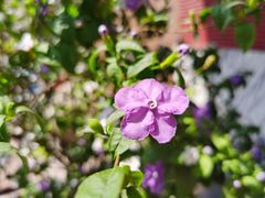 -成都凯宾斯基饭店